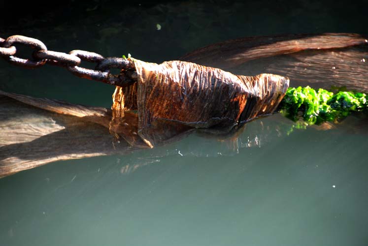 monika_m_seibel_fremde haut 1/0517.jpg width=